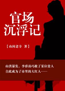 抖音爆款小说《官路美人李睿袁晶晶》免费txt全文阅读