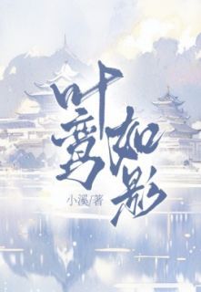 抖音爆款叶鸾如影小说免费阅读