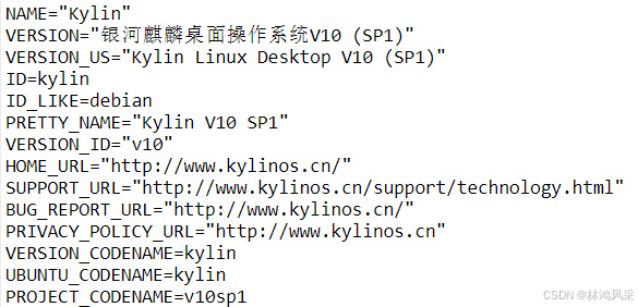 银河麒麟桌面操作系统V10（SP1）离线升级SSH(OpenSSH)服务