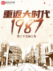 重返大时代1987免费阅读，重返大时代1987章节目录