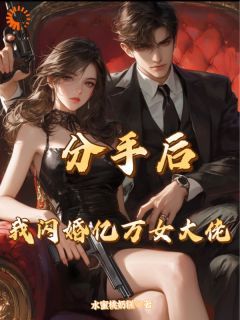 《分手后，我闪婚亿万女大佬》章节全目录 简易之艾依依全文免费阅读