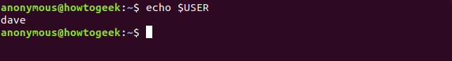 Using echo to display the user environment variable