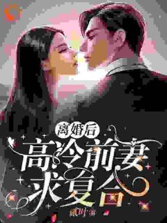 (热推新书)《离婚后，高冷前妻求复合》江南唐晶朱露莎无弹窗阅读