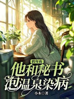 跨年夜，他和秘书泡温泉染病小说(完结版)-雨霏孟辞在线阅读