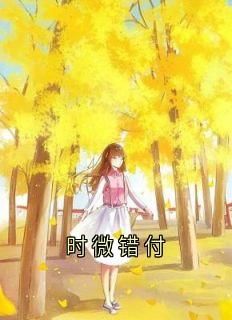 时微商砚原著小说(完整版)-时微商砚章节阅读