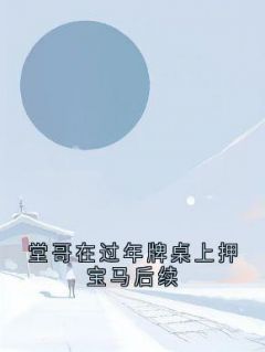 堂哥在过年牌桌上押宝马后续小说(完本)-堂哥炸金花无错版阅读