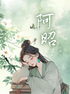 阿昭免费阅读全文，主角阿昭李肃赵心涵小说完整版