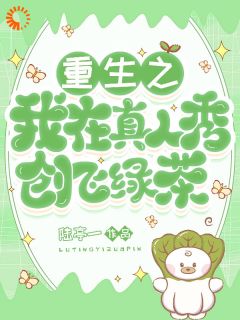 重生之我在真人秀创飞绿茶小说全文在线阅读_安苏苏心雅全文完整版章节