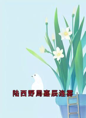《连雾陆西野》小说完结版在线试读_陆西野周嘉辰连雾小说全文