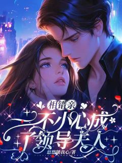 《相错亲，一不小心成了领导夫人》小说章节列表免费阅读_温软薄临修小说阅读