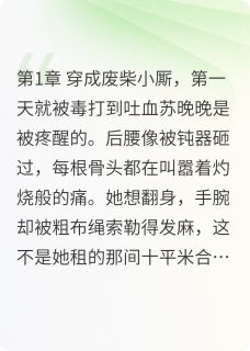 《苏晚晚林修远谢景行》小说章节在线试读_穿成对照组后，她躺平了小说阅读