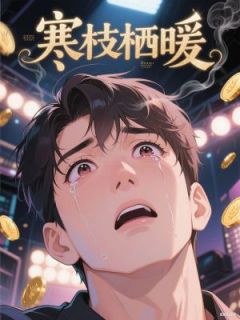 《寒枝栖暖》小说全文精彩章节在线阅读（顾默尘江宁安）