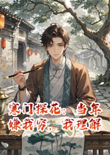 《苏婉娘沈郎》小说章节列表免费试读_寒门探花:当年嫌我穷,我理解小说阅读