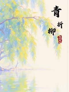 《无无宋言七苏鸢》青折柳小说精彩章节免费试读