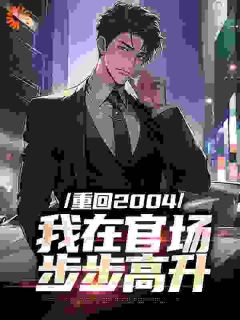 重回2004：我在官场步步高升苏武周宝山小说精彩内容免费试读