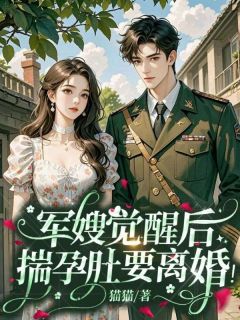 《军嫂觉醒后,揣孕肚要离婚!》沈清落陆清北小说精彩章节免费试读