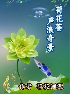 荷花荟声浪奇景完整目录在线阅读_(荷花沈明远)_大结局无弹窗