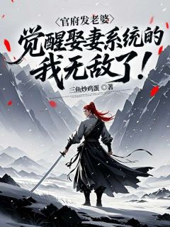 官府发老婆,觉醒娶妻系统的我无敌了!小说阅读_第9章