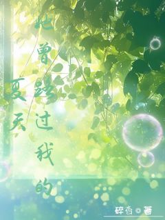 新书《她曾路过我的夏天》小说全集阅读_宋微澜陆昭小说免费精彩章节全文