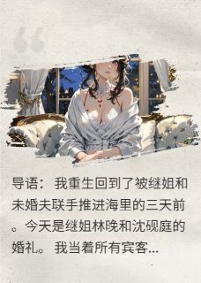 沈砚庭陆哲林晚***,这婚你别结了全文在线免费阅读