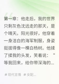 《沈远小蹊》我守着他的微信，等绿色的点亮起章节列表精彩试读