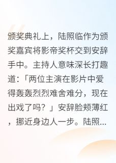 精品《我的隐婚老公爱上了一个男人》小说在线阅读_陆照临安辞小说全集无删减全文