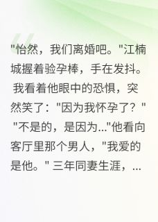 江楠城小希沈时安小说全文精彩章节在线阅读（老公爱男人我带球改嫁了）