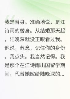 《代嫁三年他说爱错了人》全集免费在线阅读（陆晚深方远苏念）