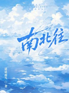《林晓月王诚》小说章节列表精彩试读_南北往小说阅读