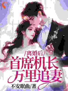 离婚后，首席机长万里追妻精彩章节免费试读_顾以宁盛嘉远小说_大结局