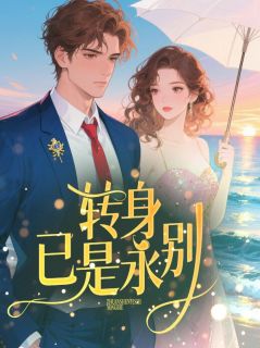 《转身,已是永别》小说章节列表精彩阅读_傅淮林雪小说阅读