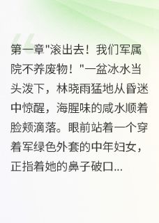 《军官嫌妻***,不知她年入百万》林晓雨顾铭轩全文在线试读