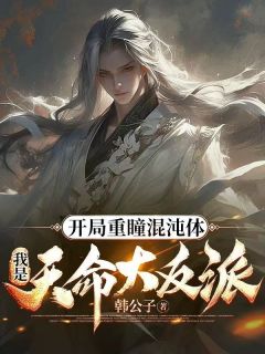 热文《陆长歌叶轻柔》开局重瞳混沌体,我是天命大反派小说全文无弹窗阅读